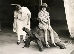 Early 20th century vintage press photograph