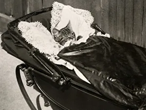 Early 20th century vintage press photograph
