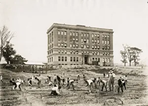 Early 20th century vintage press photograph