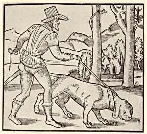 Blood Hound Prints: Early Bloodhound