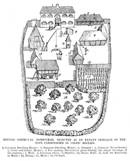Homestead Gallery: Early British Homestead
