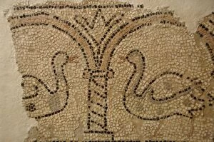 Early Christian art. Mosaico depicting two swans. Corfu. Gre