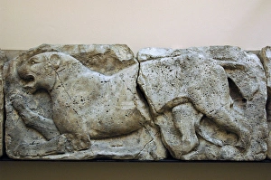 Images Dated 4th April 2008: Early Classical. Satyr hunting wils Animasl. Freezes. Panthe