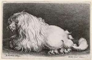 Clipping Prints: Very Early Dog in 1649