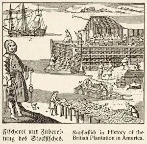 Curing Prints: Early Fishing America