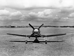 An early Hawker Sea Fury X TF906