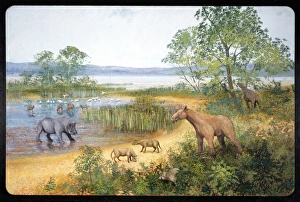 Tertiary Period Gallery: Early Miocene scene in Europe
