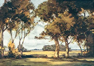 Expansive Prints: Early Morning, Autumn