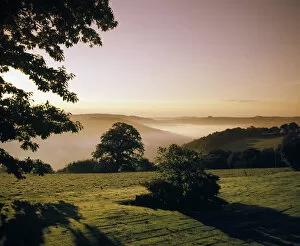 Images Dated 11th April 2017: Early morning mist, Tamar Valley, Cornwall