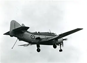 Gannet Prints: An early production Fairey Gannet AS1, WN340
