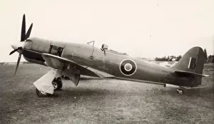 Fury Prints: An early production Hawker Sea Fury X, TF895