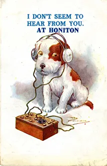 Early radio crystal set, terrier puppy