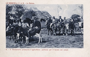 Advancement Gallery: East Africa - Rhodesia - Riding to the field on cattle