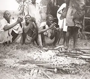 East Africa - Uganda inoculation campaign tsetse fly