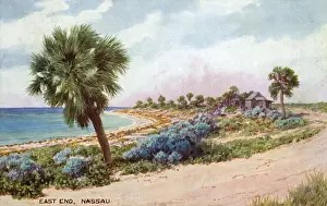Bahamas Prints: East End of Nassau, Bahamas