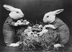 Images Dated 28th March 2012: Easter Bunnies and Eggs