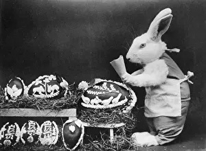 Easter Bunny and Eggs