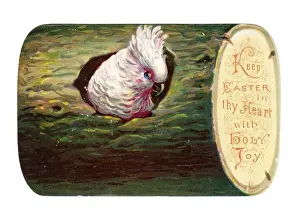 Easter card in the shape of a log with cockatoo