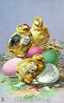 Easter Greetings - Yellow chicks and colourful eggs