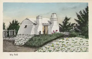 Exporting Prints: Easter Lily Field, Bermuda