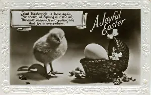Embossed Prints: Easter postcard with chick and egg in a basket