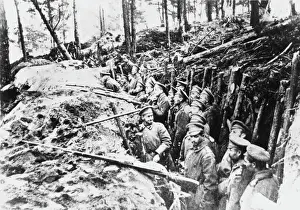 Trench Prints: Eastern Front trench, World War I