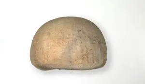 Euechinoidea Prints: Echinocorys scutata Leske, fairy loaf echinoid