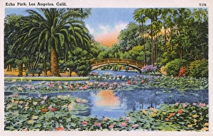 Lily Gallery: Echo Park, Los Angeles, California, USA