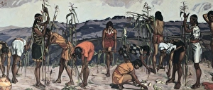 Ecuador. Indigenous painting. Corn harvest Ecuador. Indigenous painting. Corn harvest