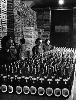 Edecan Champagne