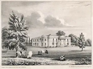 Eden Park. Kent