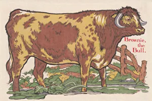 Bull
