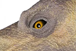 Edmontosaurus