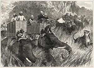 Edward VII Shooting