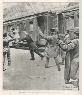 Edward VII Shooting