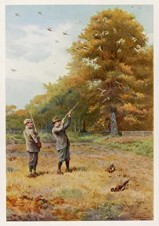 EDWARD VII/PHEASANT