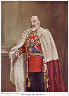 Edward VII in robes