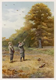 Edward VII Shooting