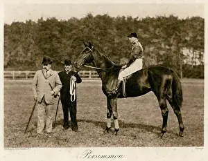 Persimmon Prints: Edward VII W / Persimmon