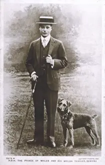 Edward Viii / Dog Gwen 10