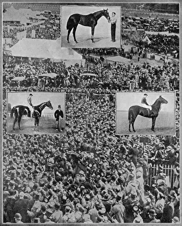Numerous Prints: Edward VII's racing victories
