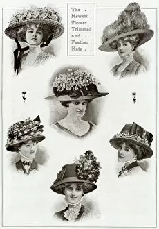 Images Dated 12th August 2017: Edwardian floral and feathered hats 1909