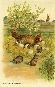Images Dated 4th April 2019: Edwardian humour
