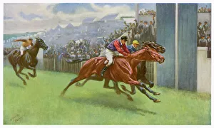 Wins Gallery: Edwards Persimmon / Derby
