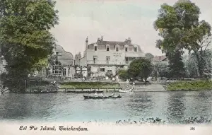 Eel Pie Island