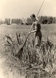 Eels Prints: Eel spearing on the Broads, 1932