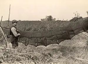 Traps Prints: Eel traps, Norfolk, 1930s