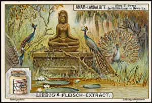 Sacred Prints: Effigy in Vietnam Forest