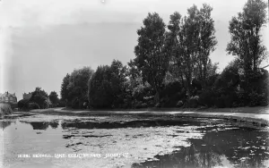 Egerton Park Lake in Bexhill