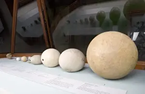 Egg display in the Bird Gallery of the Natural History Museu